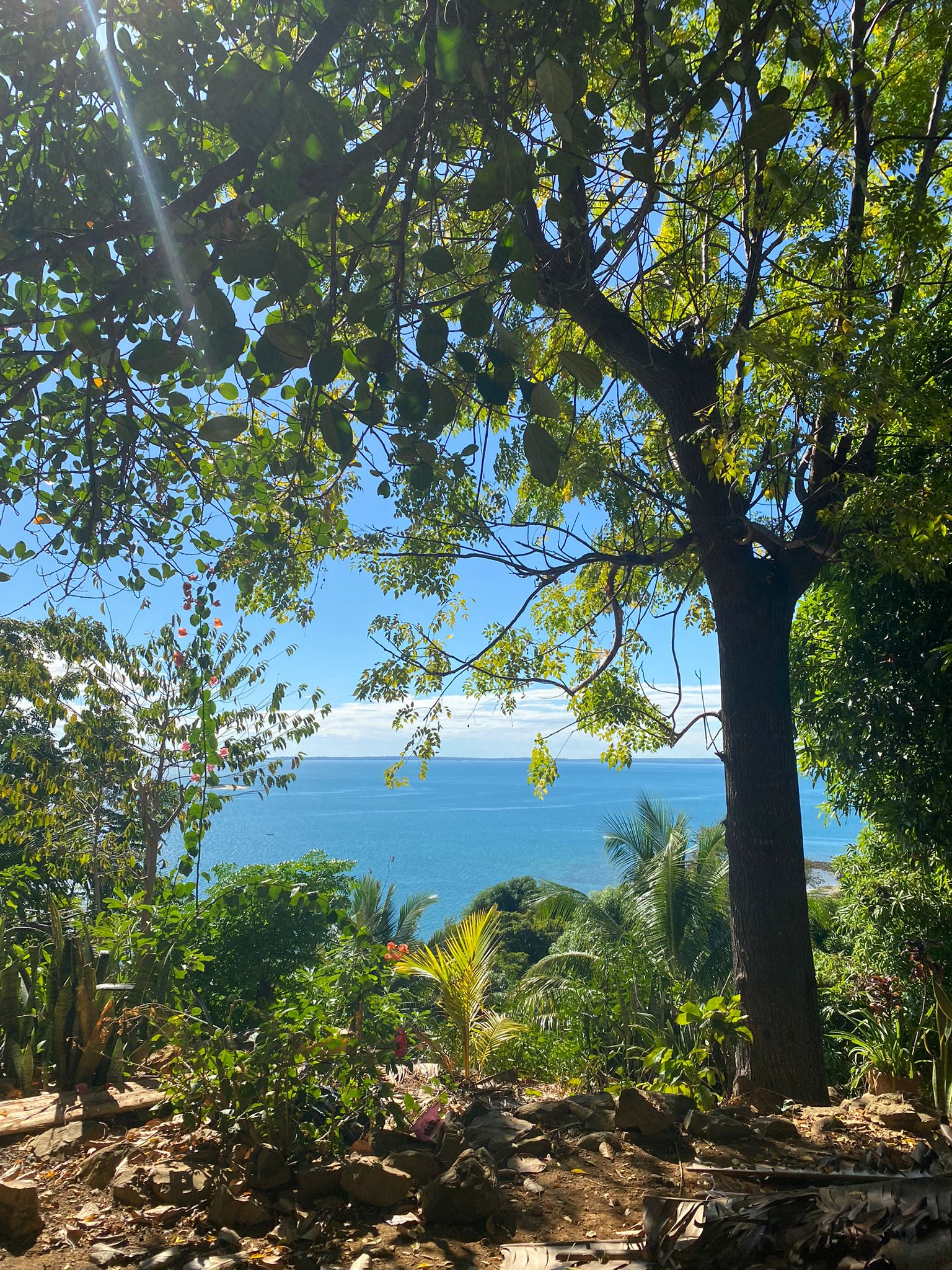 ile nosy komba madagascar