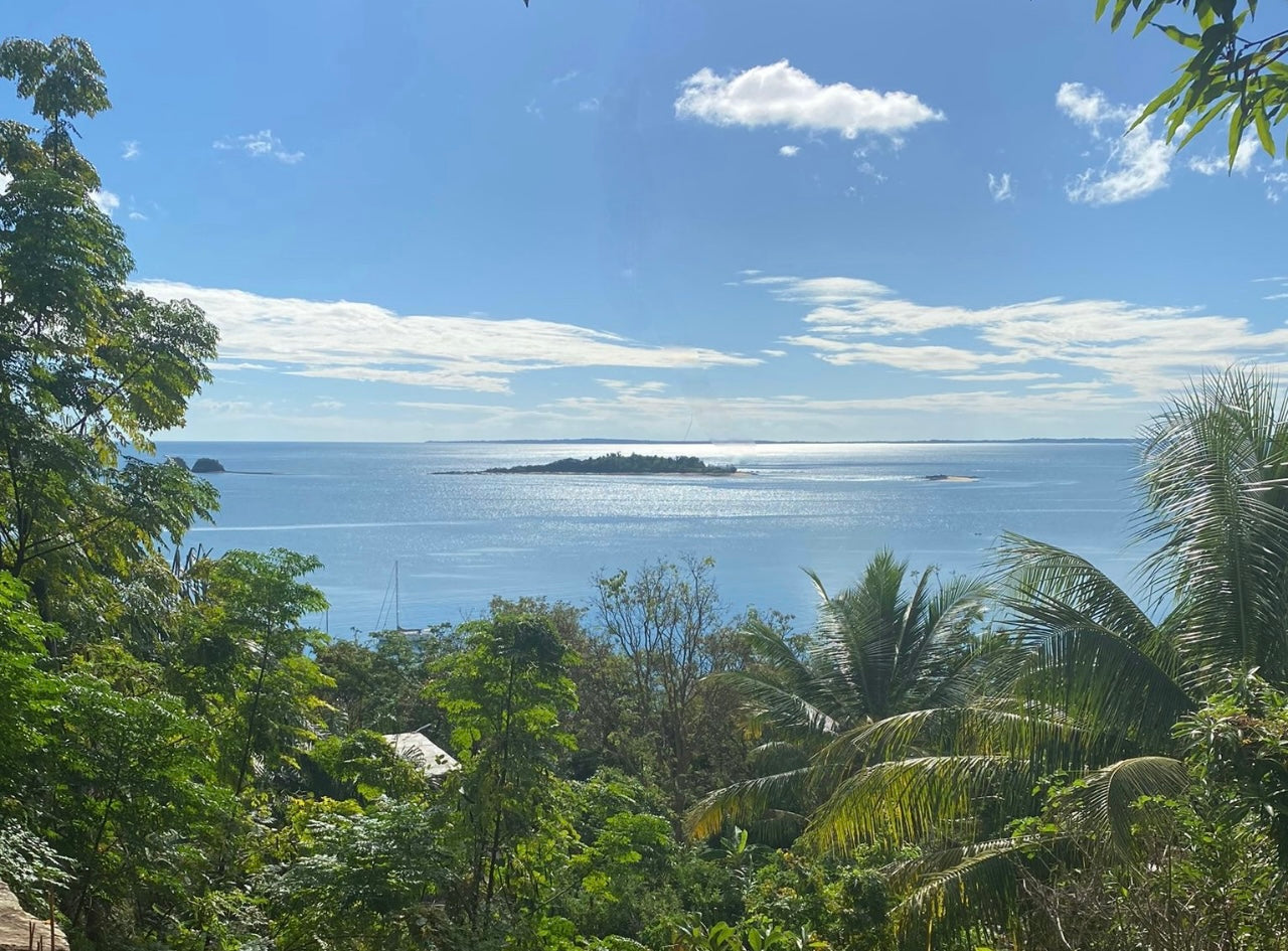 ile nosy komba madagascar